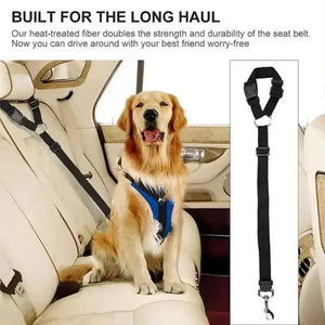 Cat Seat Belt