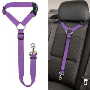 Pet Car Seat Belt