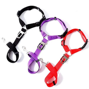 Dog Leash Seat Belts